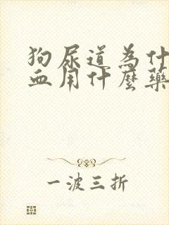 狗尿道为什么滴血用什么药