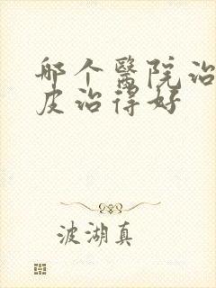 哪个医院治疗牛皮治得好