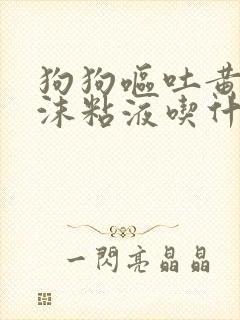 狗狗呕吐黄水泡沫粘液吃什么药