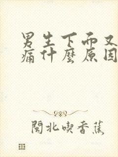 男生下面又肿又痛什么原因