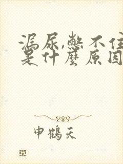 漏尿,憋不住尿是什么原因