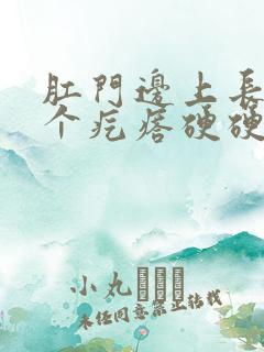 肛门边上长了一个疙瘩硬硬的疼