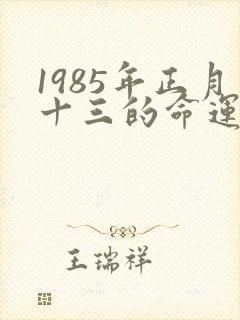 1985年正月十三的命运