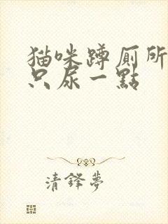 猫咪蹲厕所很久只尿一点