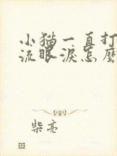 小猫一直打喷嚏流眼泪怎么回事