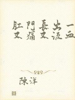 肛门长出一块肉又痛又流血