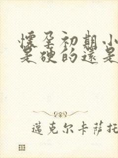 怀孕初期小肚子是硬的还是软的