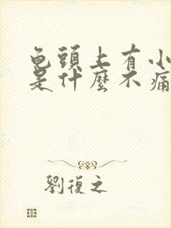 龟头上有小疙瘩是什么不痛不痒