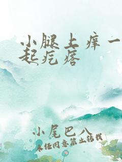 小腿上痒一挠就起疙瘩