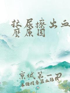 拉尿擦出血是什么原因