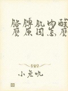 胳膊肌肉酸痛什么原因怎么治疗