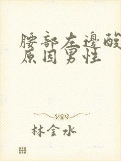 腰部左边酸痛的原因男性