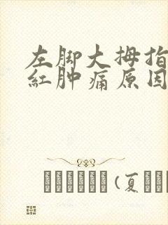 左脚大拇指关节红肿痛原因