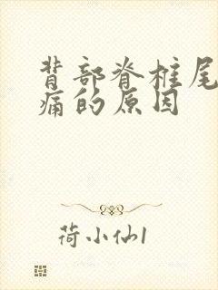 背部脊椎尾部疼痛的原因