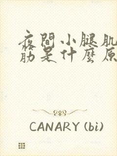 夜间小腿肌肉抽筋是什么原因引起的