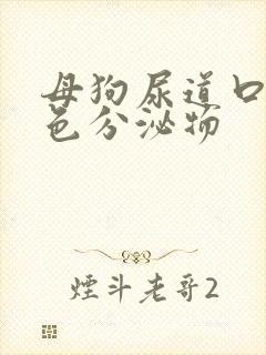 母狗尿道口流白色分泌物