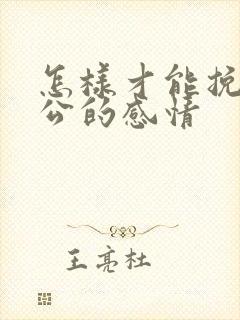 怎样才能挽回老公的感情