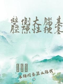 双侧大脑基底节腔隙性梗塞