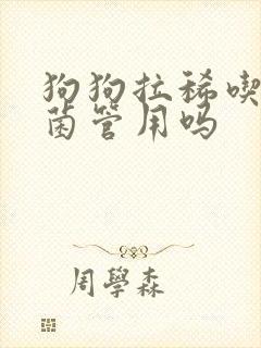 狗狗拉稀吃益生菌管用吗