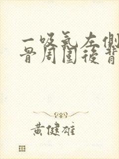 一吸气左侧肩胛骨周围后背里面疼