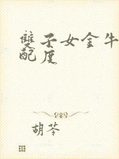 双子女金牛男匹配度