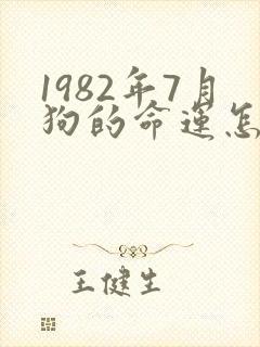 1982年7月狗的命运怎么样