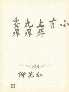 睾丸上有小疙瘩痒痒疼