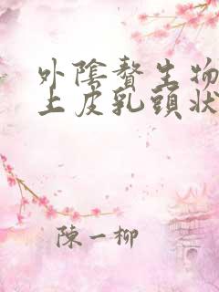 外阴赘生物鳞状上皮乳头状瘤