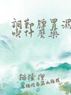 调节脾胃湿气重吃什么药
