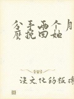 分手两个月了怎么挽回她