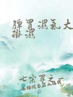 脾胃湿气大怎么排湿