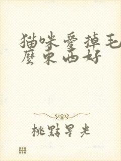 猫咪爱掉毛吃什么东西好