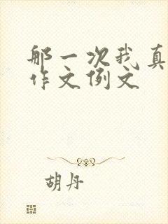 那一次我真感动作文例文