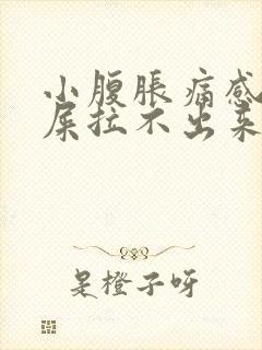 小腹胀痛感觉有屎拉不出来