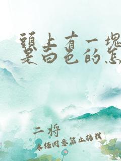 头上有一块头发是白色的怎么回事