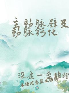 主动脉壁及冠状动脉钙化