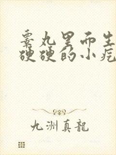 睾丸里面生了个硬硬的小疙瘩一碰就疼