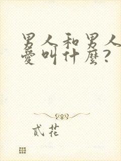 男人和男人谈恋爱叫什么?