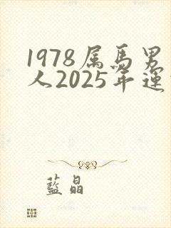 1978属马男人2025年运势及运程详解