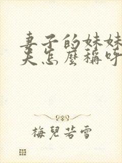 妻子的妹妹的丈夫怎么称呼