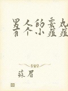 男人的睾丸旁边有个小痘痘