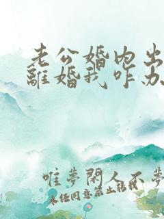 老公婚内出轨提离婚我咋办