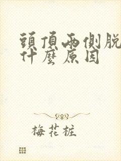 头顶两侧脱发是什么原因