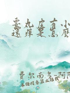 睾丸皮有小疙瘩还痒是怎么回事