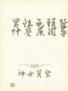 男性龟头发炎是什么原因导致的