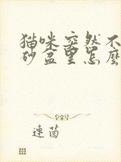 猫咪突然不尿猫砂盆里怎么办