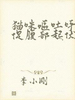 猫咪呕吐呼吸急促腹部起伏