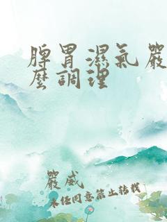 脾胃湿气严重怎么调理