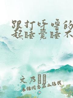 跟打呼噜的人一起睡觉睡不着咋办