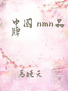 中国 nmn品牌